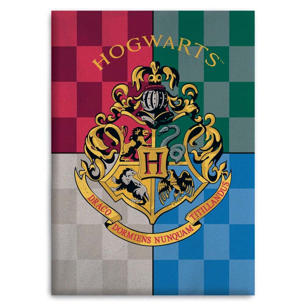 Manta Harry Potter Hogwarts 1 Manta Harry Potter Hogwarts