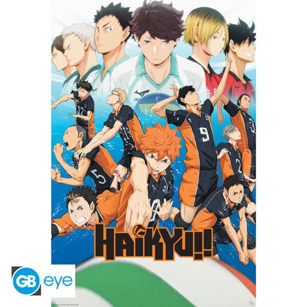 Póster Haikyuu Karasuno Anime