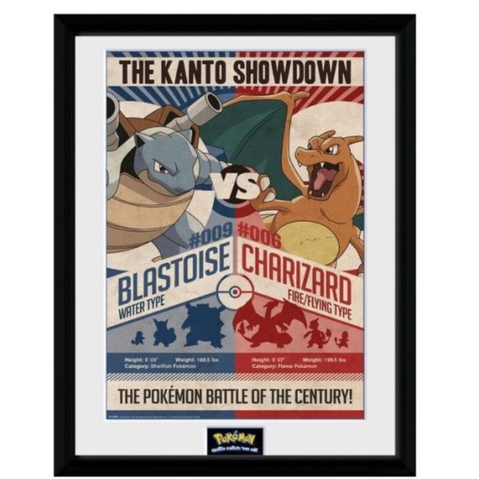Cuadro Pokémon