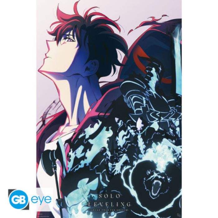 Poster Jinwoo 91.5x61cm 1 Poster Jinwoo