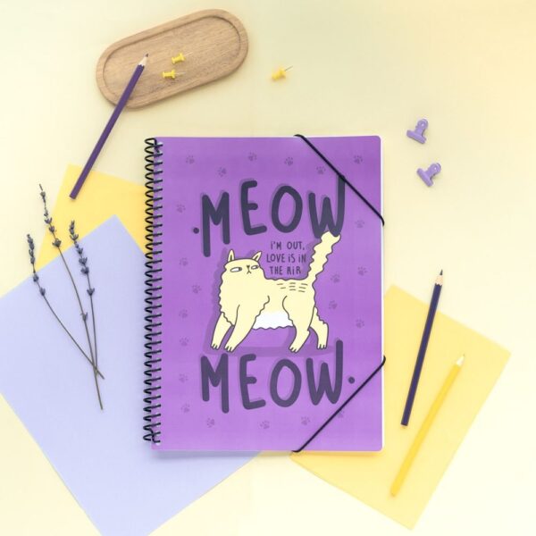 Carpeta Fundas Meow Meow